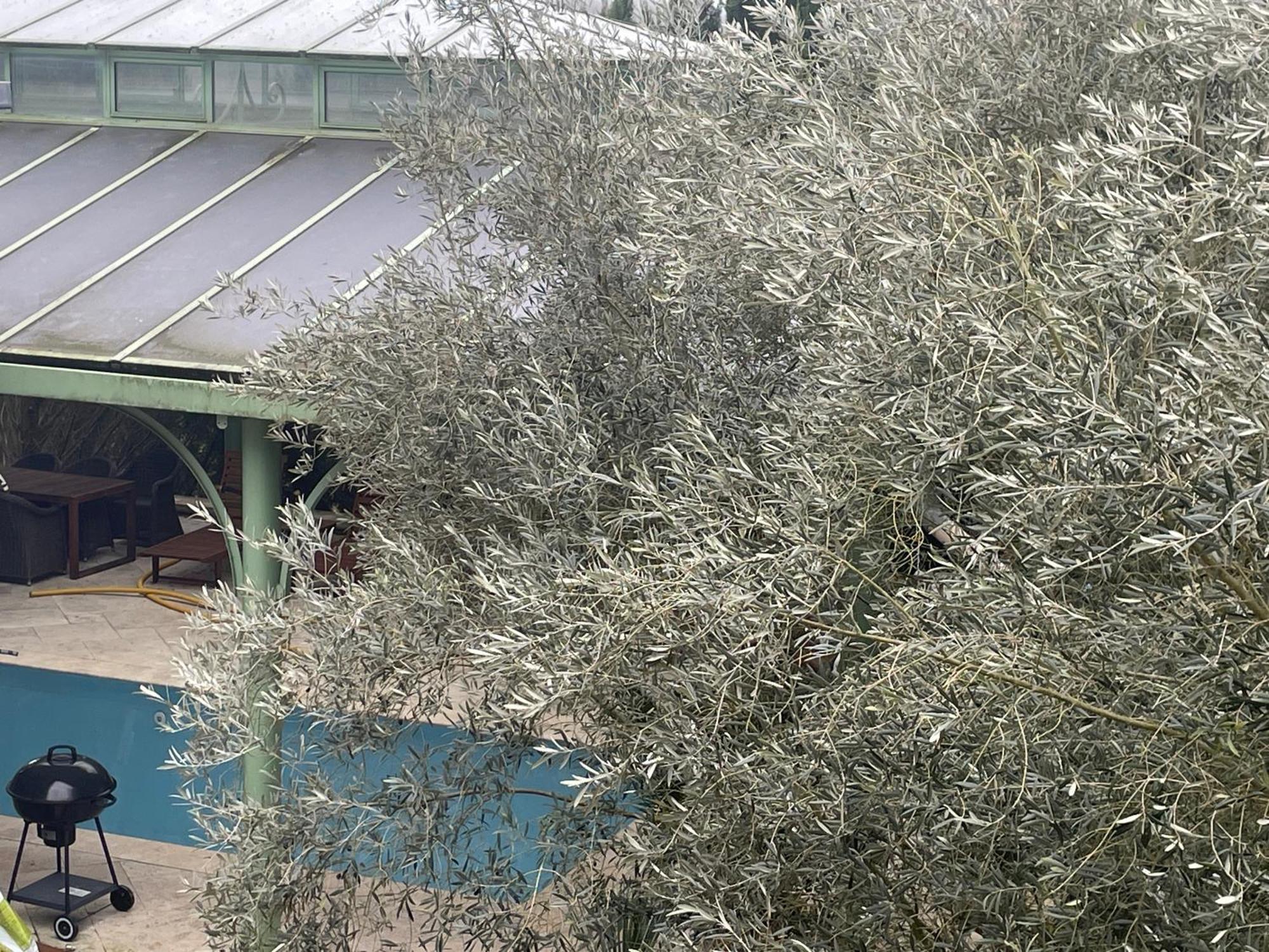 VILLA SPA PERRET-4 Étoiles-PARC de 3 Ha au pied du PARC NATUREL DU VEXIN NORMAND-Châteaux -Nature-Ballades-VTT-Cheval-Golf-À 5 Mn de GIVERNY-Jardins de MONET-Musée IMPRESSIONNISTE-Pour 2 Nuitées SAUNA ou JACUZZI offert en Hiver ou PISCINE en Été ou H Sainte-Genevieve-les-Gasny Chambre photo